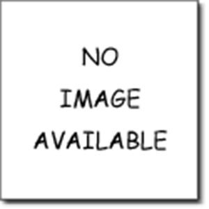 Picture of DL4-133-100G 1-1/3X4 LABELS (1.4M/PACK)